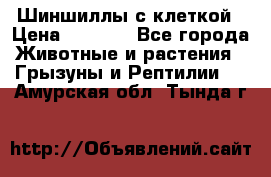 Шиншиллы с клеткой › Цена ­ 8 000 - Все города Животные и растения » Грызуны и Рептилии   . Амурская обл.,Тында г.